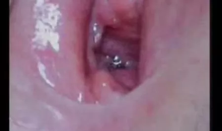 سمراء الحمار قصص محارم عرب