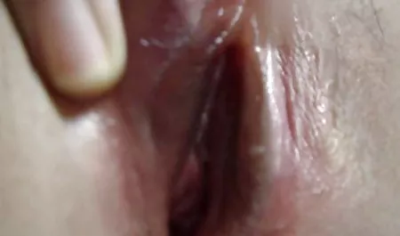 الشباب الحسية الكسيس بريل الجنس عرب نار قصص سحاق عاطفي