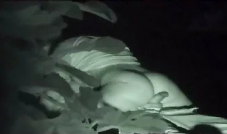 بعد المدرسة عرس سكس عربي 2