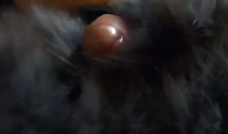 مع الوشم تمتص ديك سكس اسرائيلي عربي والملاعين مع صديقاتها!