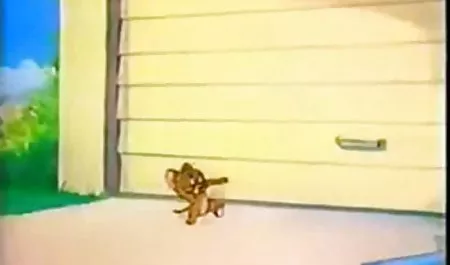 فانيسا كاترا هولندا عرب سكس يوتيوب