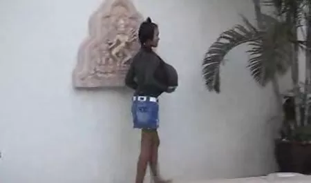 الهواة, الحمار كبيرة عرب نار مصري