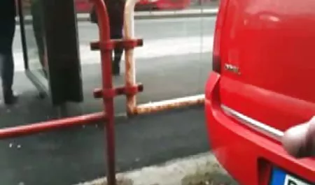 ربما في المكسيك الآن Lo سكس حيوانات عربي que dice
