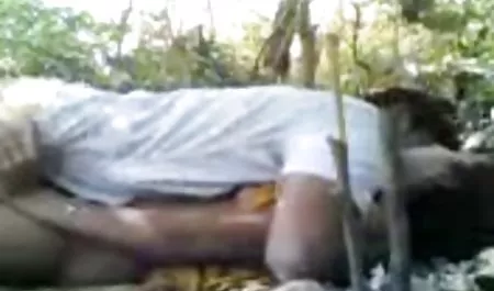 أشجار النخيل غرفة لثلاثة أشخاص مختلفين في سكس عربي سكسي يوم واحد